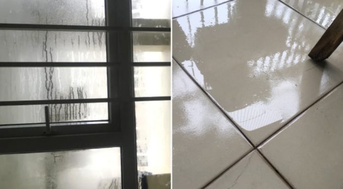 Don’t Turn on the Fan if your House is Damp and Leaking, Do These 5 Things to Dehumidify and Keep your House Dry