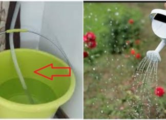 Don’t rush to pour out the Air Conditioner Water: Keep it for these beneficial uses, save yourself millions of dollars