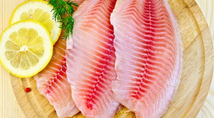 The meat of this fish is nutritious in every part, especially the eyes and brain, making it a favorite for both adults and children.