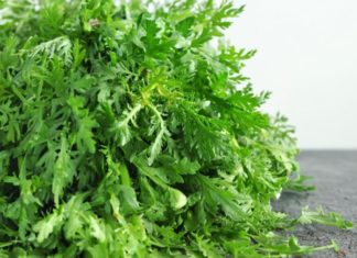 Eat this vegetable once, it’s like drinking dandelion tea 10 times, affordable, delicious, and good for the liver and sleep.