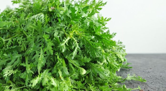 Eat this vegetable once, it’s like drinking dandelion tea 10 times, affordable, delicious, and good for the liver and sleep.