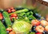 3 Mistakes to Avoid When Washing Vegetables that Make Them Even Dirtier and Strip Away Nutrients