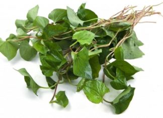 Water spinach is not only a popular leafy vegetable but also has many healing properties.