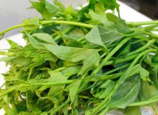 Eating Sweet Potatoes brings numerous health benefits, yet many people overlook them