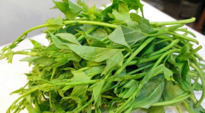 Eating Sweet Potatoes brings numerous health benefits, yet many people overlook them