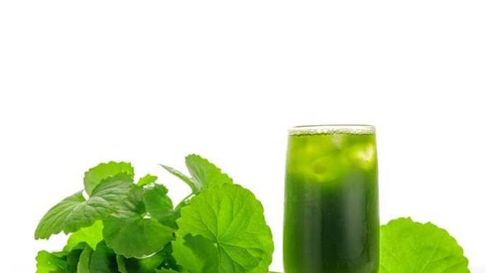 Eat Water Spinach every day to achieve amazing health benefits