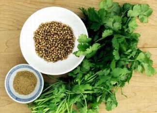 Don’t miss out on the benefits of juicing cilantro.
