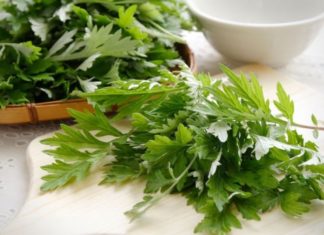 3 Ways to Prepare Artemisia Vulgaris to Treat Illnesses, Relieve Headaches, and Alleviate Joint Pain