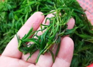 Heaven’s Bounty: Nature’s Freshest Gift.