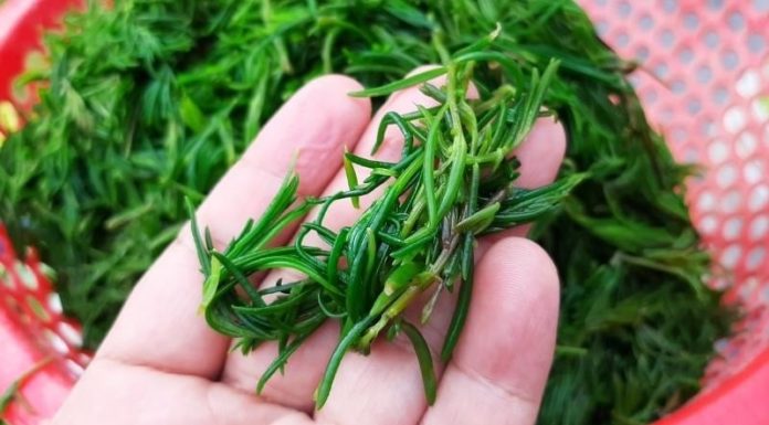 Heaven’s Bounty: Nature’s Freshest Gift.