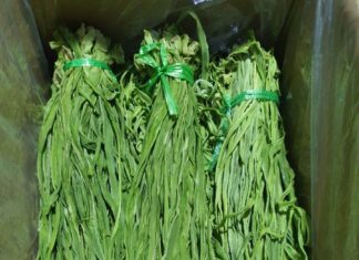 The vegetable that looks like “grass clumps”, but is more expensive than meat and fish: still not available for purchase at 500,000 VND/kg