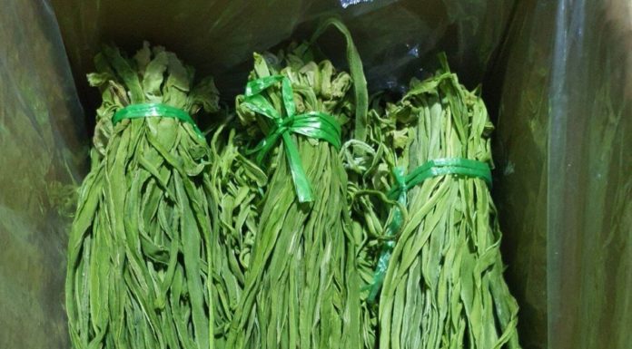 The vegetable that looks like “grass clumps”, but is more expensive than meat and fish: still not available for purchase at 500,000 VND/kg