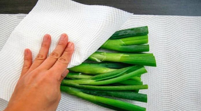 Preserve the freshness of vegetables by not storing them directly in the refrigerator, instead, add a sheet of paper to the vegetables for them to remain fresh for a whole month.