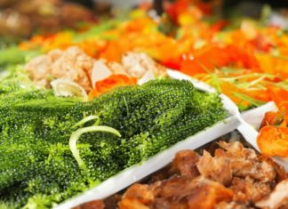 Ocean’s “Miracle Drug” Can Be Dangerous if Overconsumed