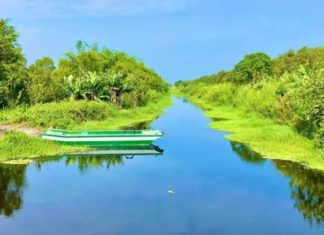 Explore U Minh Ha – A Mysterious and Untouched Land