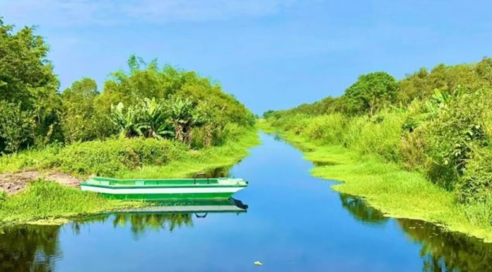 Explore U Minh Ha – A Mysterious and Untouched Land