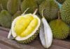 The One Thing to Look for When Choosing Durian: Natural, Delicious, and Never Overripe