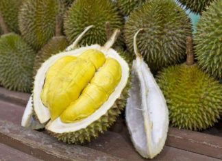 The One Thing to Look for When Choosing Durian: Natural, Delicious, and Never Overripe