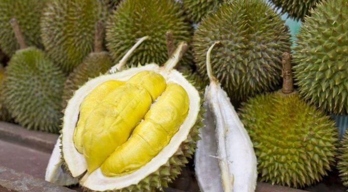 The One Thing to Look for When Choosing Durian: Natural, Delicious, and Never Overripe