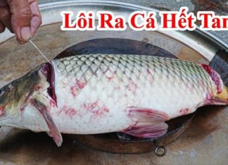 Freshwater Fish Cleaning Hack: Eliminate Odor and Enhance Taste