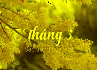 The Ultimate Guide to Facebook Captions: March Edition – Crafting Concise, Captivating, and Compelling Words