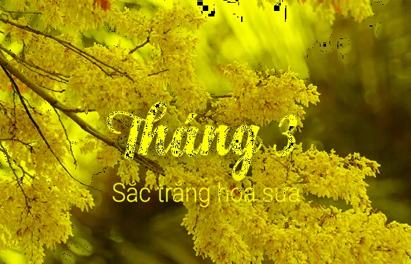 The Ultimate Guide to Facebook Captions: March Edition – Crafting Concise, Captivating, and Compelling Words