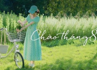 Stunning and Deep Autumn Quotes for Captivating Facebook and Zalo Posts