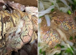 Is Rainbow-Colored Meat a Sign of Contamination and Poor Quality?