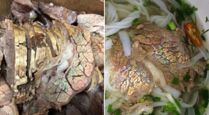 Is Rainbow-Colored Meat a Sign of Contamination and Poor Quality?