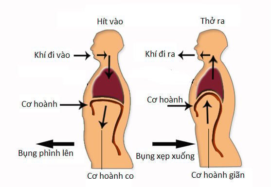 Are You Breathing Correctly? A Seemingly Absurd Question Turns Out to be Surprisingly True – Proper Breathing Helps Brighten Your Skin