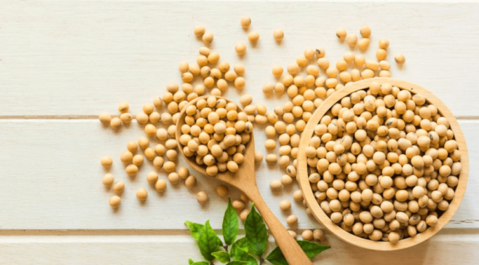 The Golden Quartet for Longevity in Women: Secrets to Hormonal Balance