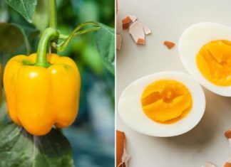 No Need to Take Biotin, Eat These 10 Foods for Faster, Stronger Hair