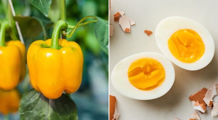 No Need to Take Biotin, Eat These 10 Foods for Faster, Stronger Hair