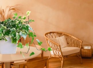 8 Types of Indoor Plant Pots That Excellent at Absorbing Radiation, Perfect for Office Décor to Boost Health