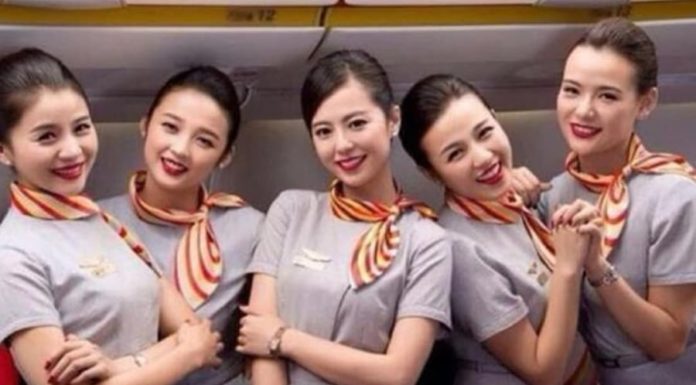 Why don’t flight attendants go home after landing and often go straight to a 5-star hotel, what do they do there?