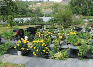 After the Clear and Bright Festival, remember not to bring these things back to avoid bringing bad luck and sickness.