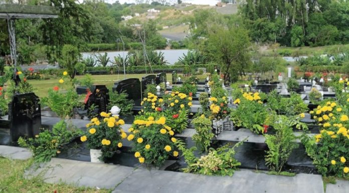 After the Clear and Bright Festival, remember not to bring these things back to avoid bringing bad luck and sickness.