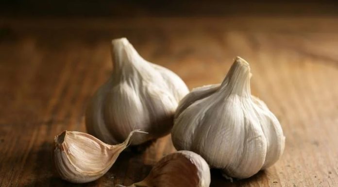 4 Tips to Preserve Peeled Garlic for a Whole Year, Keeping it Fresh, Fragrant, and Nutritious