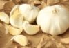 The Ultimate Guide to Garlic Storage: Say Goodbye to Moldy Mess