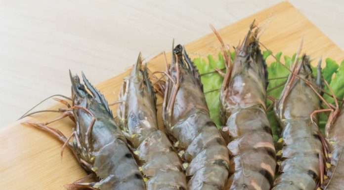 Delicious and fragrant steamed stuffed bitter melon with shrimp: a mouthwatering dish for a weekend feast