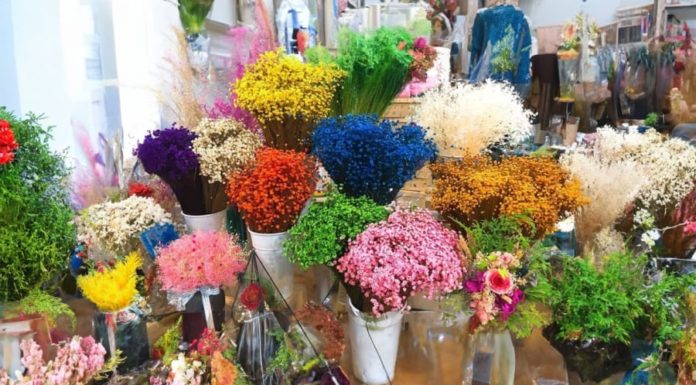 Should you decorate with dried flowers at home?