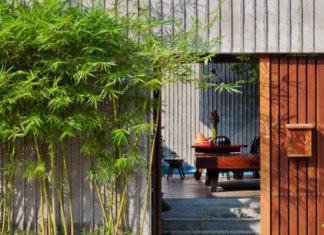 Why did ancient people say that bamboo blossoming is a sign of upcoming disaster? Do you have decorative bamboo plants at your house?