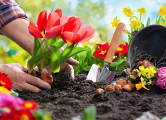 Plant 10 years without rotting roots, these 6 types of waste to put in the flower pot