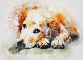 12 Extraordinary Days in Late March: 4-Year-Old Outshines Everyone, Taking Over the World, Richer Than Anyone Else