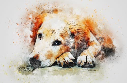 12 Extraordinary Days in Late March: 4-Year-Old Outshines Everyone, Taking Over the World, Richer Than Anyone Else