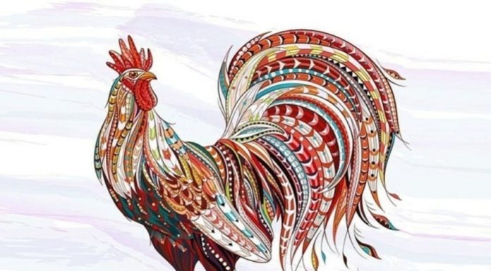 The next 10 days (12/3-22/3): 4-year-old reaches the golden age and receives abundant blessings, money pouring into the pockets