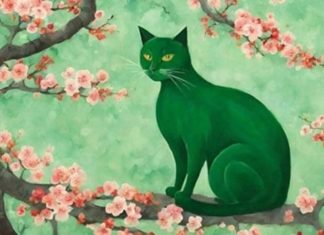 Meet a good time also succeed: 3-year period- money back, endless fortune enjoyed in the next 49 days