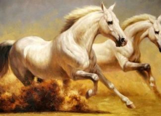 A Child of Buddha, 4 years old and wealth effortlessly arriving in 2024