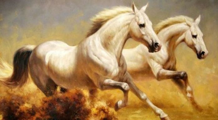 A Child of Buddha, 4 years old and wealth effortlessly arriving in 2024