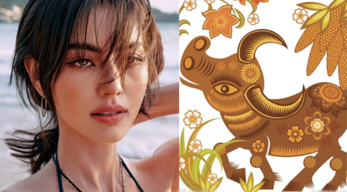 From 4/3 to 24/3: 4 years lucky in all aspects, encountering calamity turns into fortune, staying idle also brings prosperity.